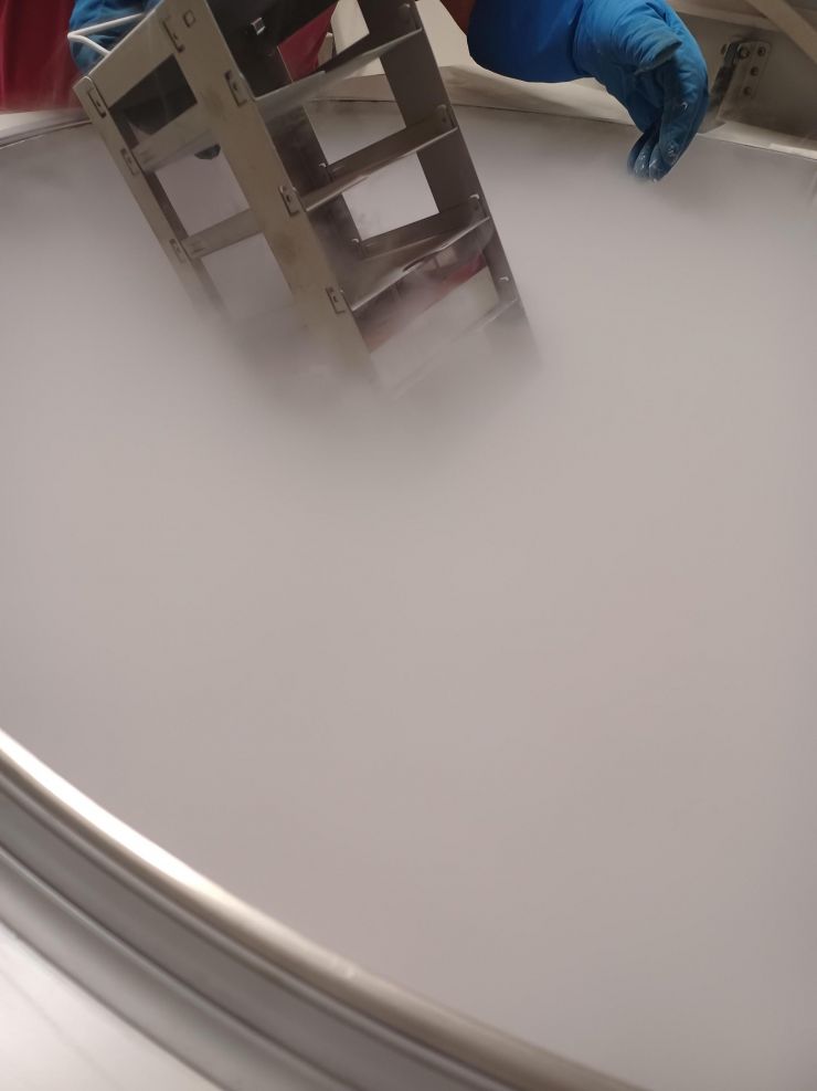 proba-stvolovi-kletki-2.jpg
